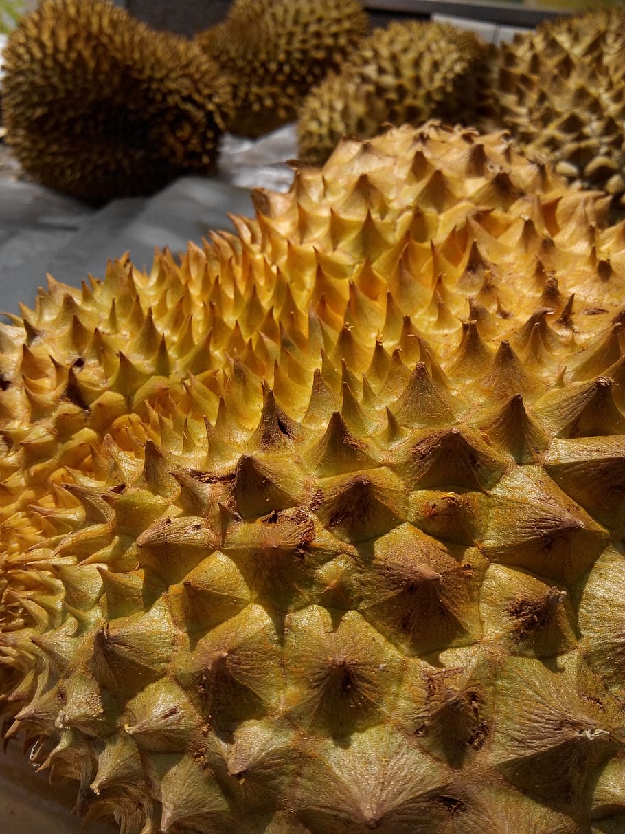 Texture, Yellow, Sharp, food and drink, close-up, no people HD wallpaper