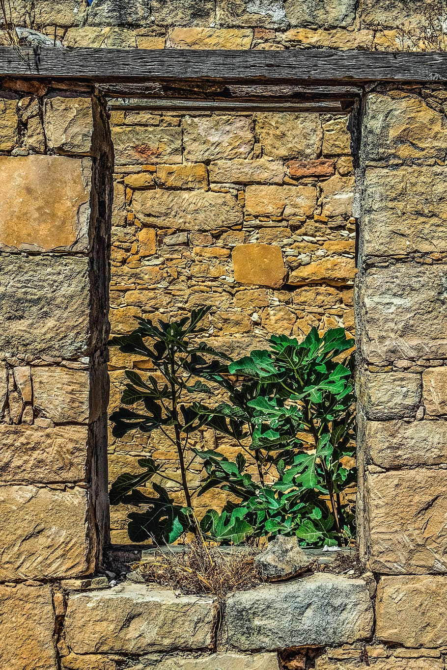 window, house, old, abandoned, stone, decay, ruin, destroyed HD wallpaper