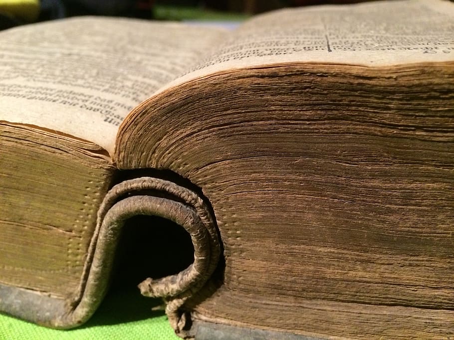 labeled book, bible, old, pages, literature, old-fashioned HD wallpaper