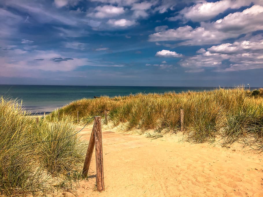 baltic sea, darss, ahrenshoop, reed, coast, northern germany, HD wallpaper