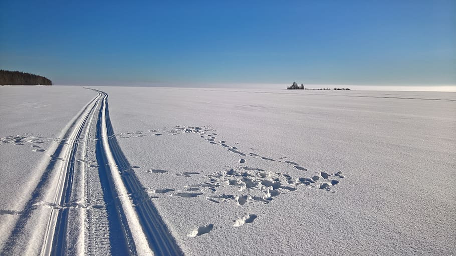 Track, Skiing, Winter, snow, nature, no People, travel Locations HD wallpaper