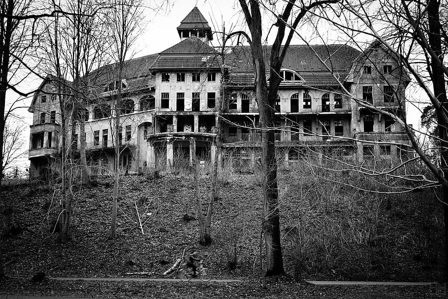 castle, old, gloomy, black And White, architecture, house, abandoned HD wallpaper