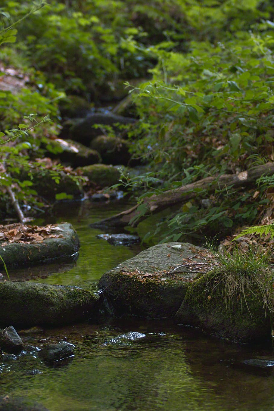 nature, cascade, water, river, landscape, france, hiking, waterfall HD wallpaper