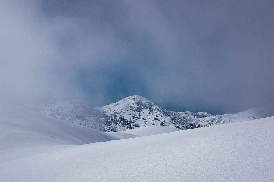snow, winter, white, cold, weather, ice, nature, cold temperature HD wallpaper