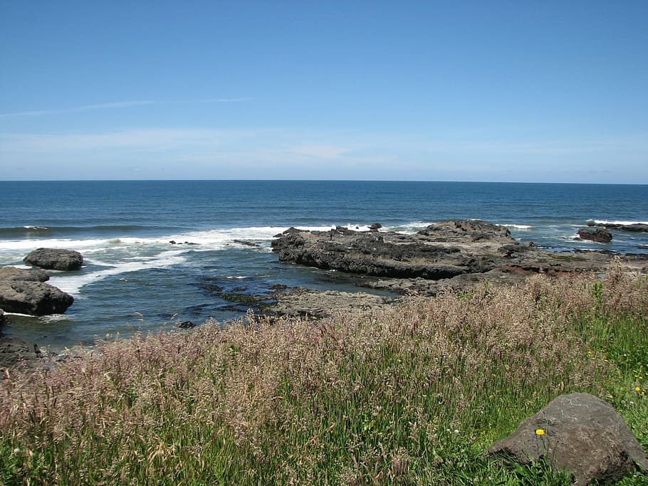 Oregon, Beach, Scenic, sea, horizon over water, nature, scenics HD wallpaper