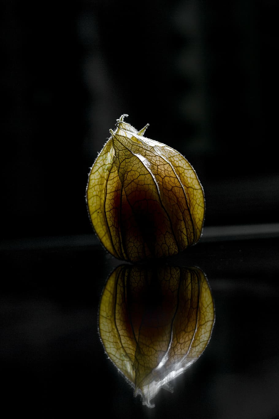 physalis, macro, close, fruit, healthy, food, yellow, vitamins HD wallpaper