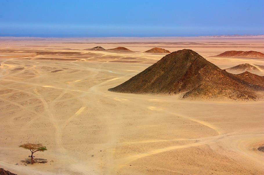 desert, sand, tree, mountain, hill, africa, egypt, sand dunes HD wallpaper