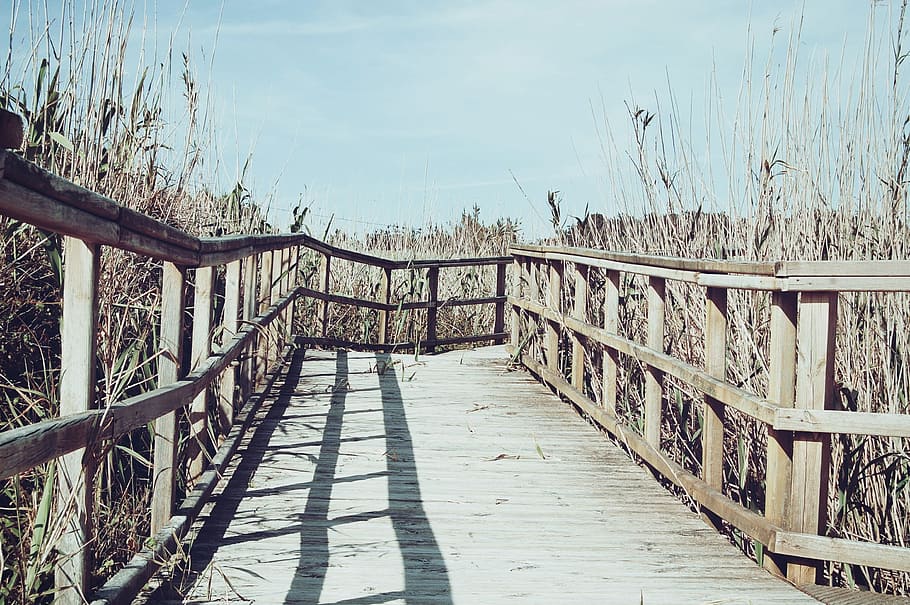 wood, deck, bridge, path, nature, rural, countryside, outdoors HD wallpaper