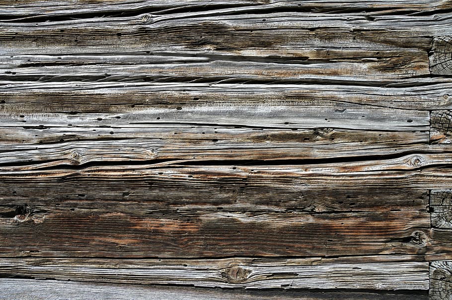 grey wood log, texture, wood grain, weathered, washed off, wooden structure, HD wallpaper