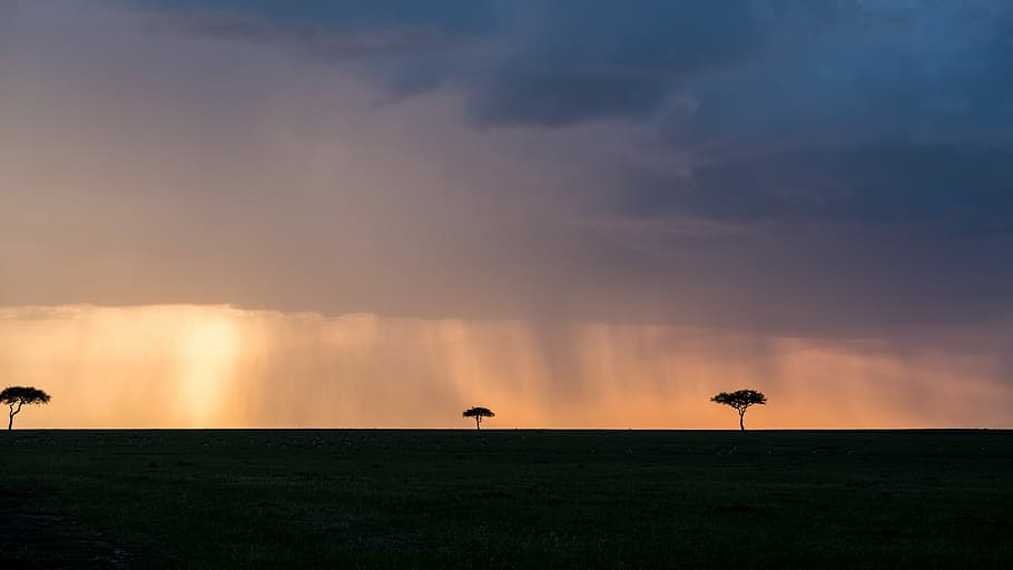 silhouette of trees, silhouette of trees photography, cloud, cloudscape HD wallpaper