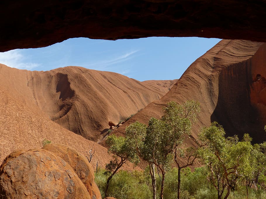 green leaf trees, uluru, ayers rock, australia, outback, landscape HD wallpaper