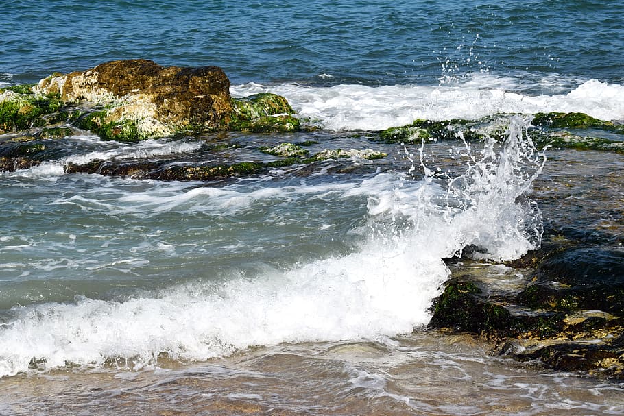 ocean, waves, sea, water, blue, nature, beach, surf, splash HD wallpaper