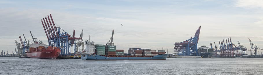 ships on body of water, port, hamburg, container, cranes, freighter