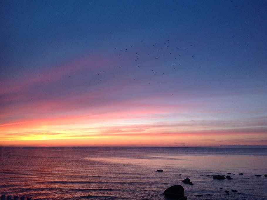 body of water golden time, sea, sky, winter, sunset, nature HD wallpaper