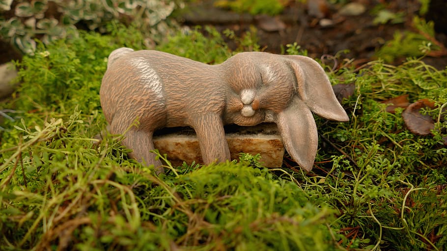 Easter, Easter Bunny, easter bunny sleeping, easter figure HD wallpaper