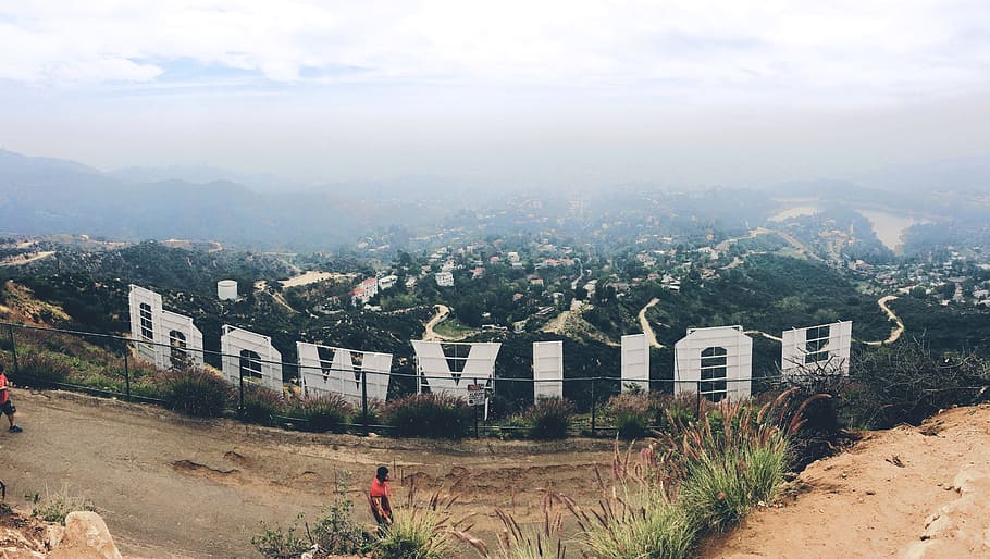 Hollywood, Wst Caifornia, man wearing red shirt facing Hollywood signage HD wallpaper