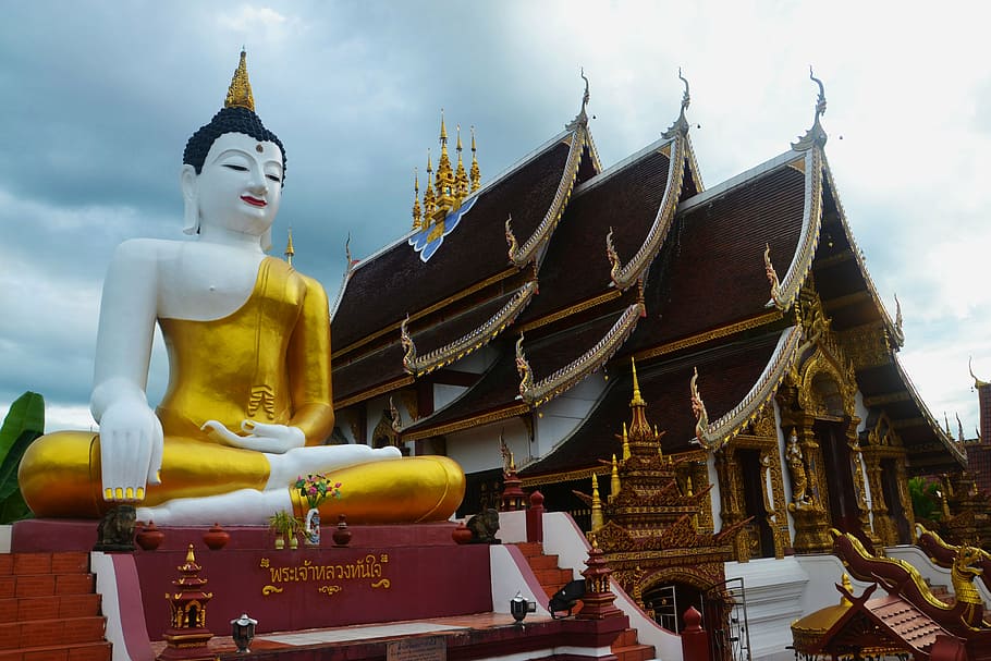 Gautama Buddha statue near temple, thailand, asia, religion, buddhism