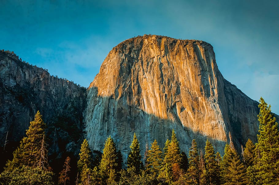 pine trees below mountain, green tree at daytime, rock, cliff HD wallpaper