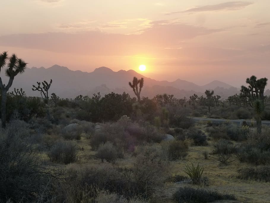 desert, sunset, abendstimmung, sky, beauty in nature, scenics - nature HD wallpaper