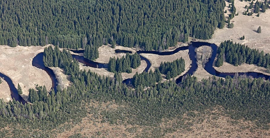 meanders, vltava, šumava, river, forest, water, nature, mountain HD wallpaper