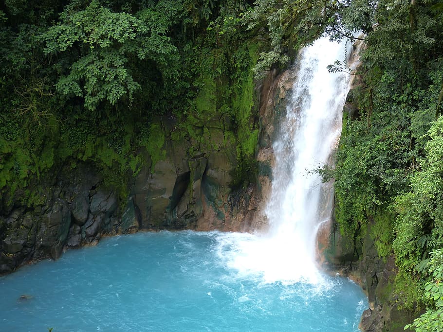 waterfall surrounded green leaf plants, jungle, rainforest, central america, HD wallpaper