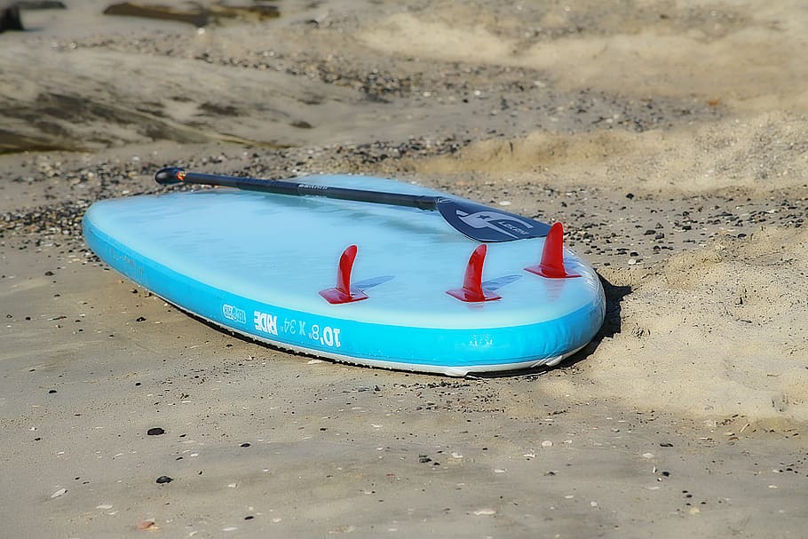 browse, sea, navigation, board, water, shore, sand, beach, paddle HD wallpaper