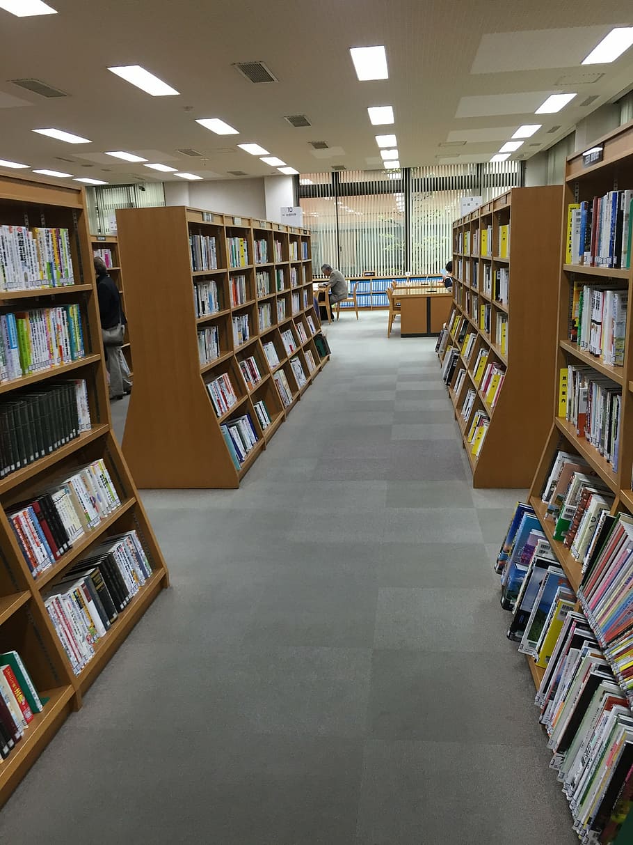 library, book, bookshelf, education, large group of objects HD wallpaper