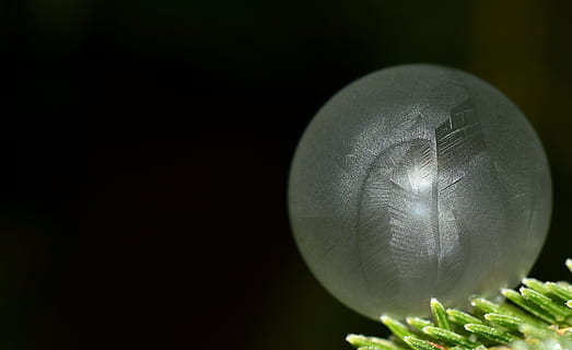frosted bauble ornament, bubble, soap bubble, frozen, winter HD wallpaper