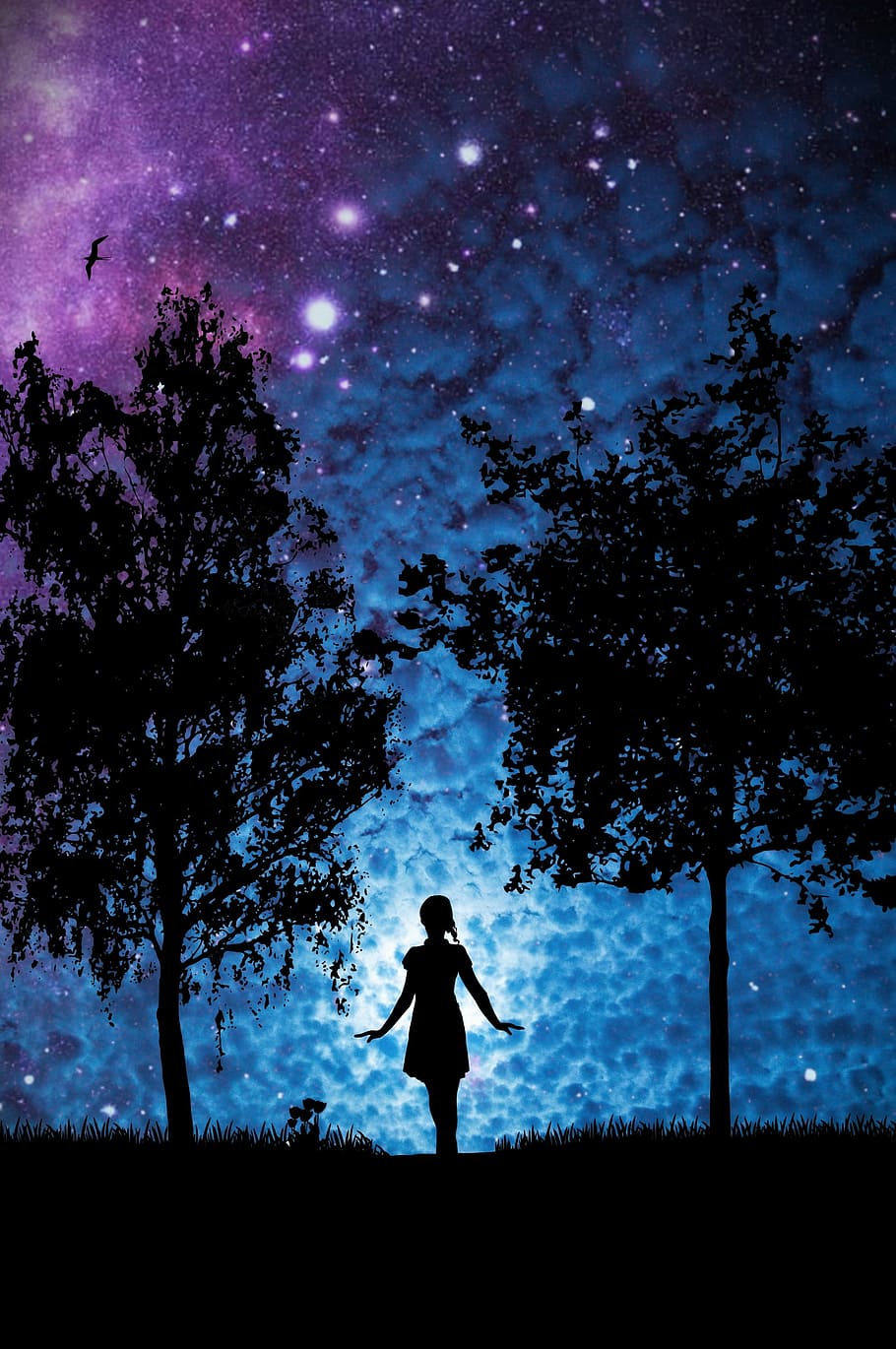 HD wallpaper: untitled, star, woman, trees, silhouette, girl, light,  mystical | Wallpaper Flare