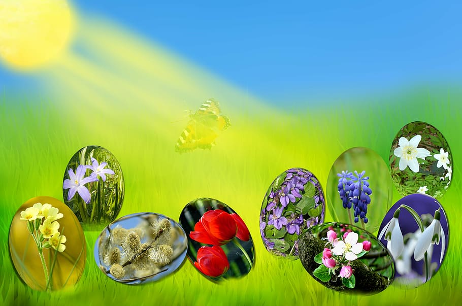 easter, eggs, spring, sun, grass, green, sky, blue, light, primrose HD wallpaper