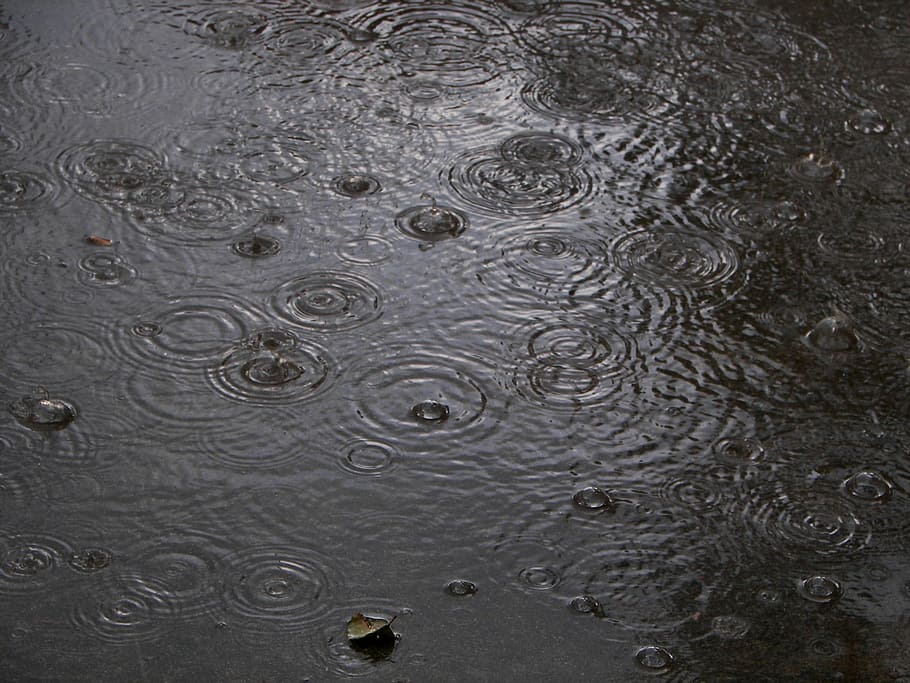 Fog, Timeline, rain, water, rippled, drop, backgrounds, nature HD wallpaper