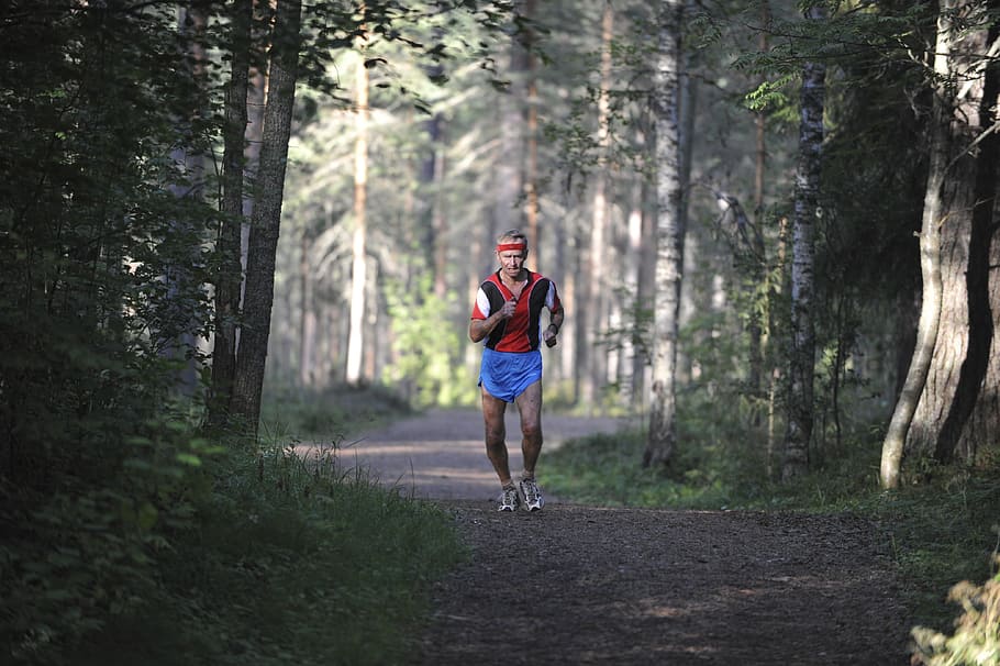 man running in the woods, Runner, Old, Man, Forest, Finland, competition, HD wallpaper