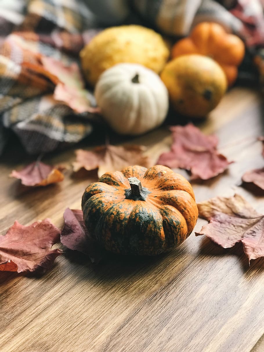 selective focus photography of ]pumpkin, small orange and green squash HD wallpaper