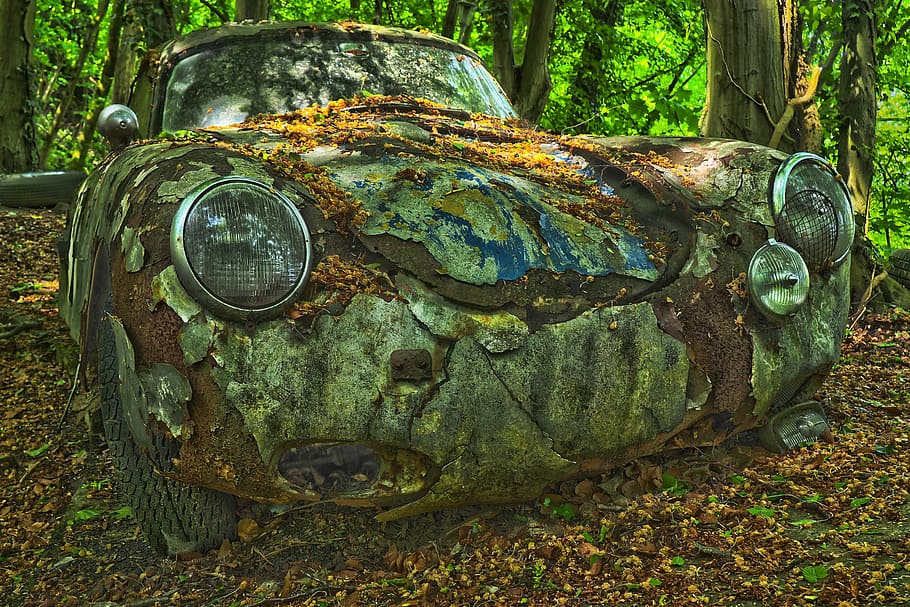 abandoned car near trees during daytime, auto, car cemetery, oldtimer