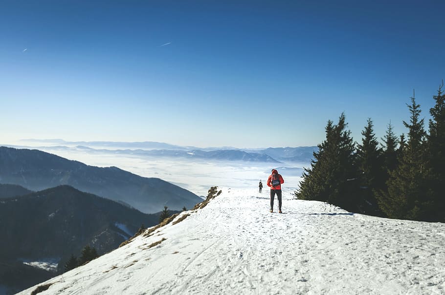 person walking near tree on high elevated land surface, snow HD wallpaper
