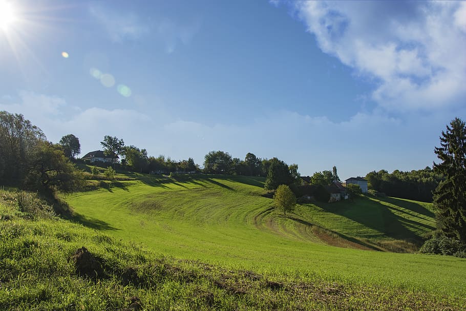 nature, sky, clouds, blue, blue sky, sky blue, grass, landscape HD wallpaper