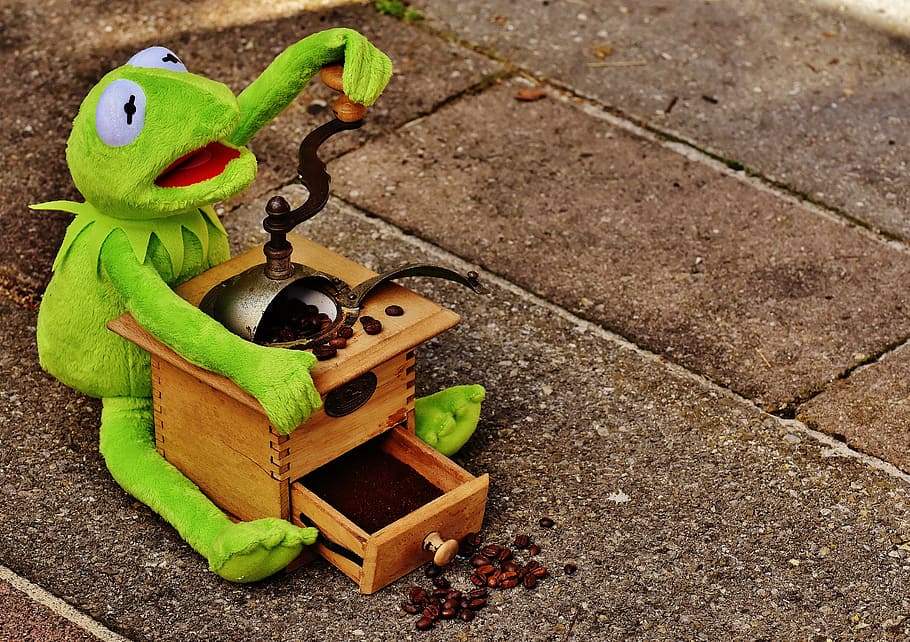 kermit, frog, grinder, coffee beans, funny, cute, toys, green, HD wallpaper