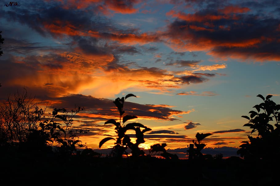 sunset, twilight, evening, sky, cloud - sky, silhouette, beauty in nature HD wallpaper