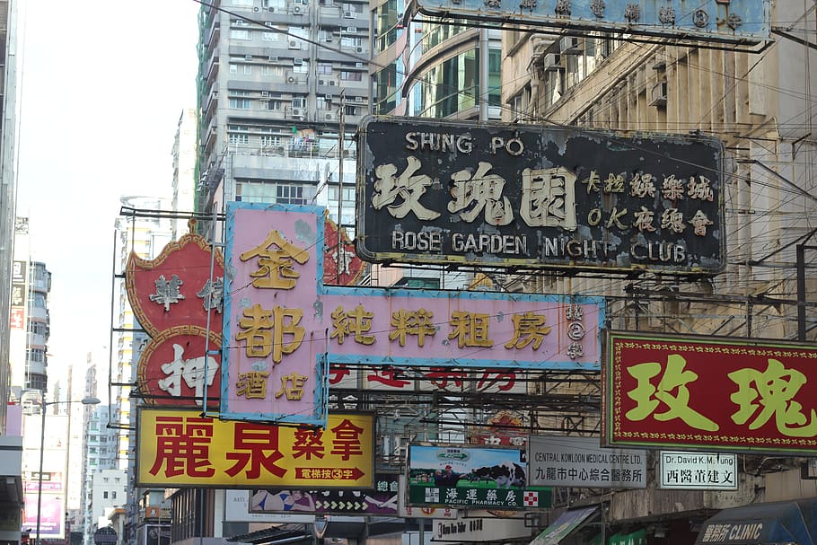 Rose Garden Night Club signboard, hong kong, china, city, chinese, HD wallpaper
