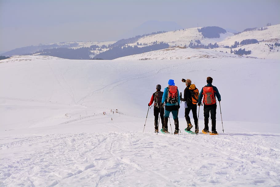 amici, group, walk, excursion, snow, winter, cold, mountain HD wallpaper