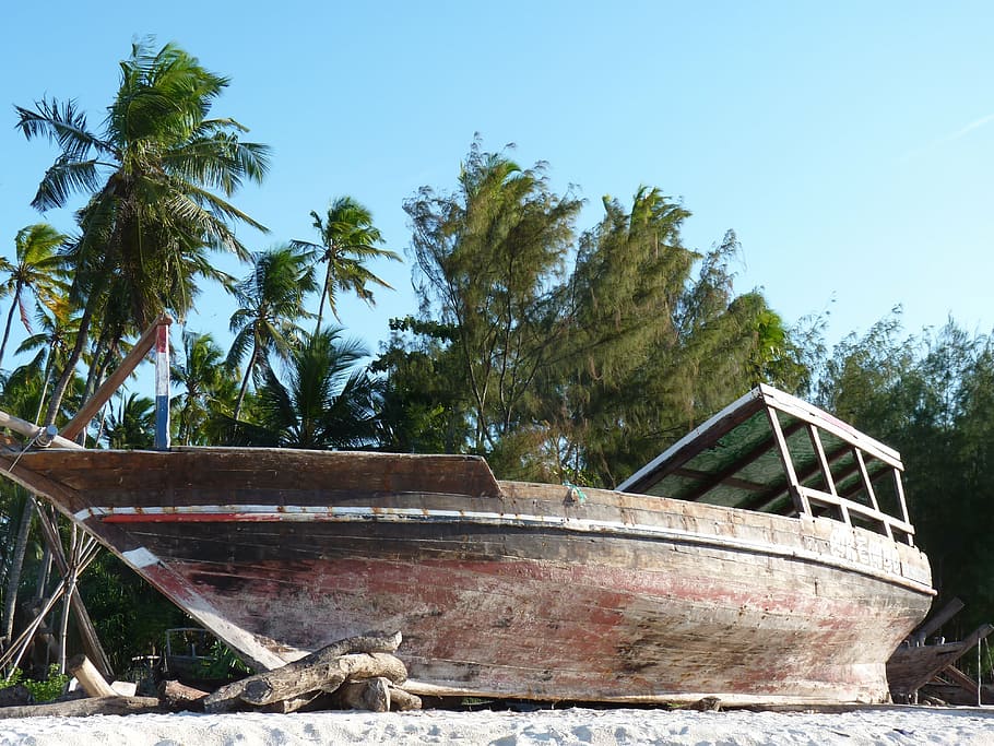 zanzibar, boot, beach, palm trees, plant, sky, abandoned, nautical vessel HD wallpaper