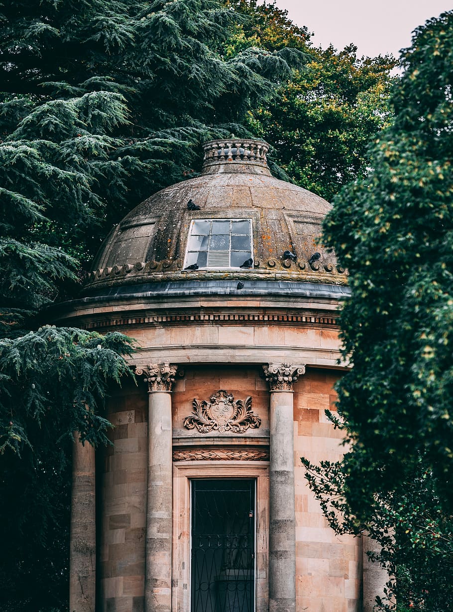 brown dome building surrounded by trees, photography of concrete hall between trees HD wallpaper