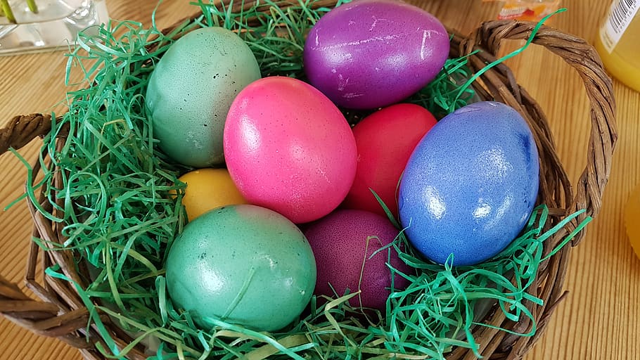 easter, egg, nest, easter egg, ornament, osterkorb, colorful eggs HD wallpaper