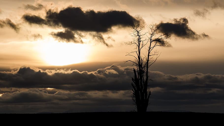 sun, mood, back light, clouds, sunrise, atmosphere, sunset HD wallpaper