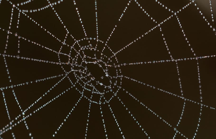 web, nature, water, drops, broken, pattern, backgrounds, no people HD wallpaper