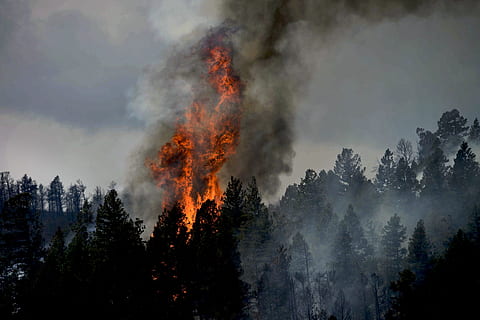 forest fire, colorado, sky, clouds, smoke, landscape, trees HD wallpaper