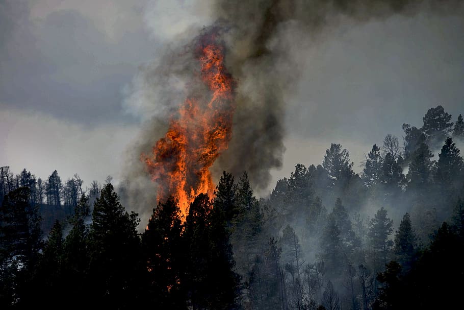 forest fire, colorado, sky, clouds, smoke, landscape, trees HD wallpaper