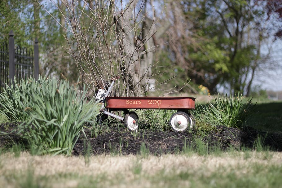 Wagon, Garden, Old, tree, grass, field, outdoors, no people HD wallpaper