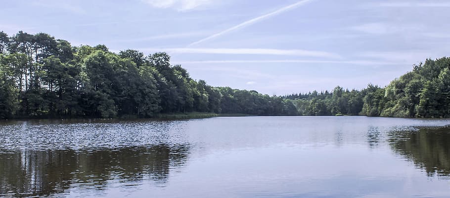 lake, forest, reflection, landscape, nature, tree, water, plant HD wallpaper
