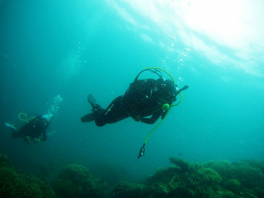 dive dive n dive, two people scuba diving beneath sea, underwater, HD wallpaper